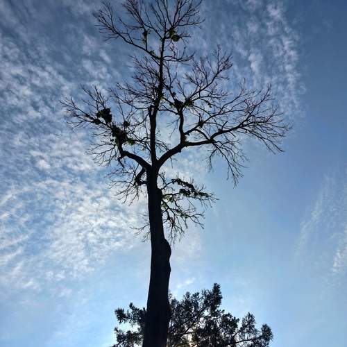 Photo #12550350