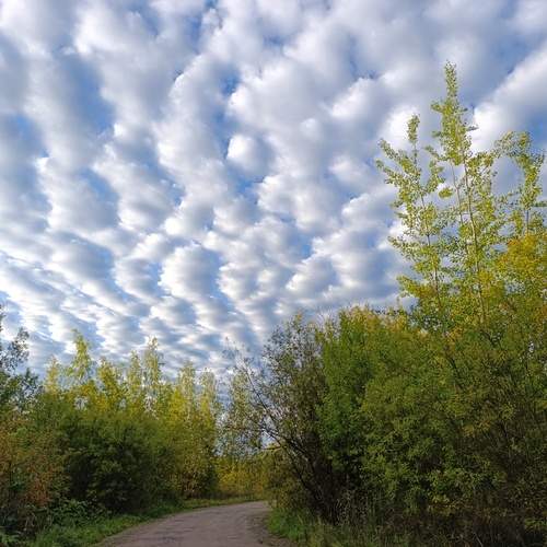 Photo #12550374