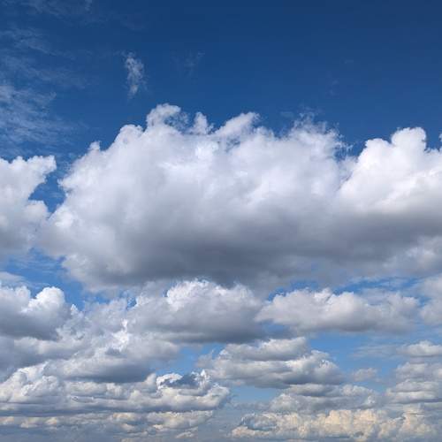 Photo #12550384
