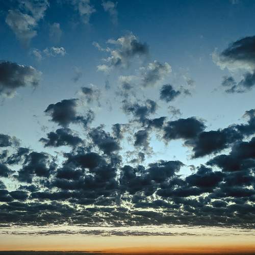 Photo #12550385