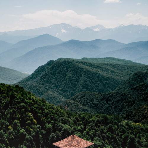 Photo #12550475