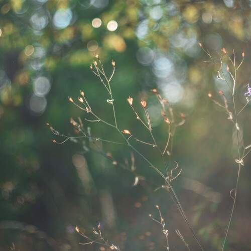 Photo #12550558