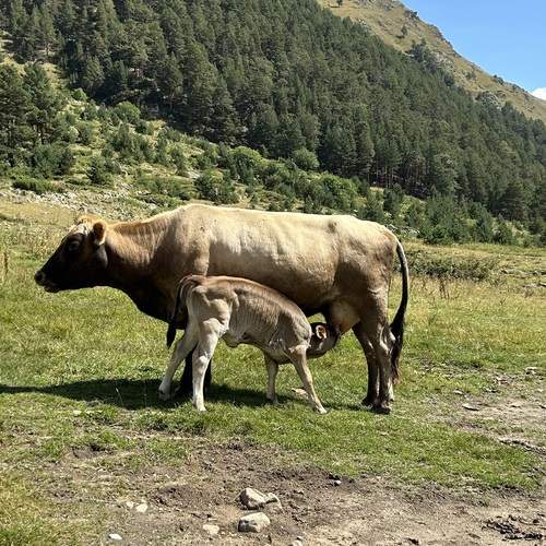 Photo #12550562