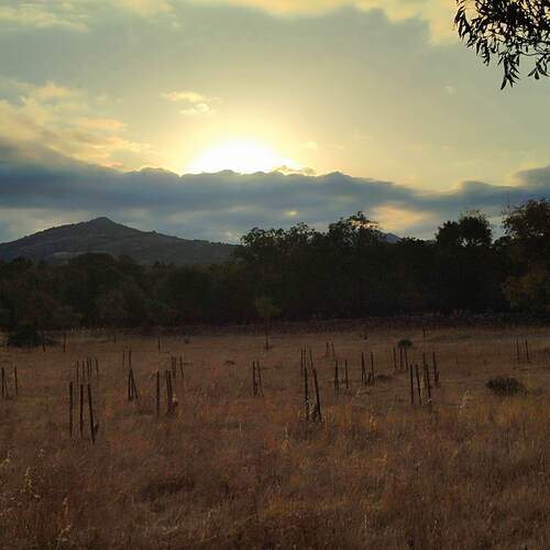 Photo #12550575