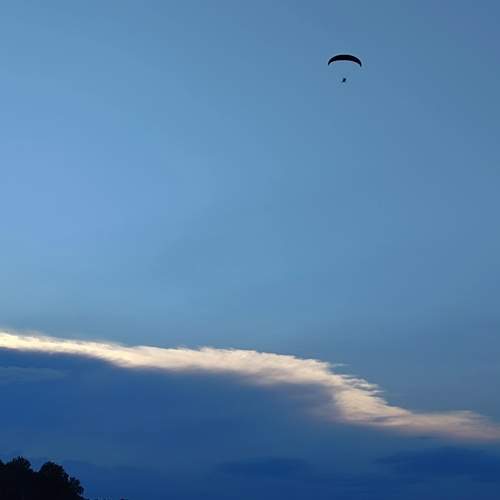 Photo #12550726