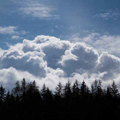 Photo #12550869