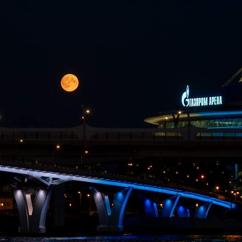 Photo #12550934