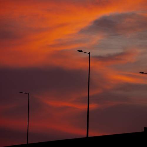 Photo #12551085