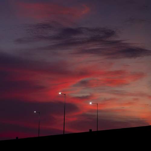 Photo #12551087