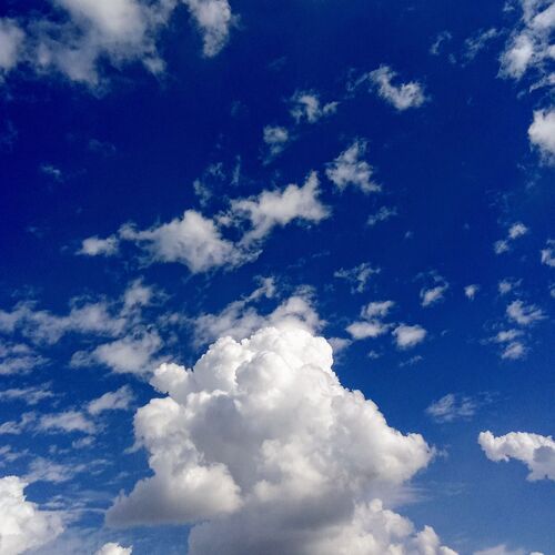 Photo #12551203