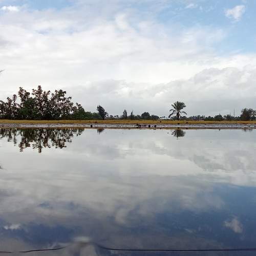 Photo #12551208