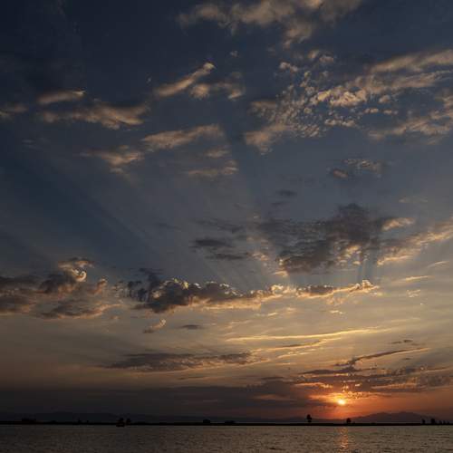 Photo #12551213