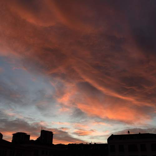 Photo #12551214