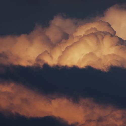 Photo #12551453