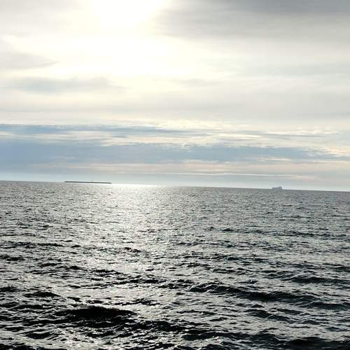 Photo #12551525