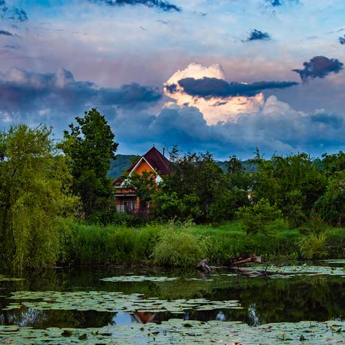 Photo #12551705