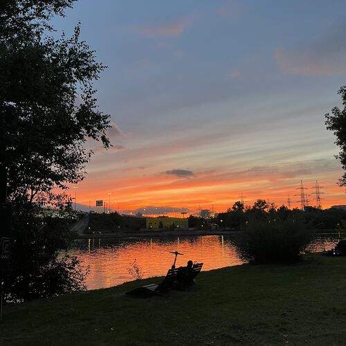 Photo #12551953