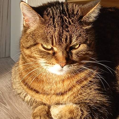 Photo #12551964