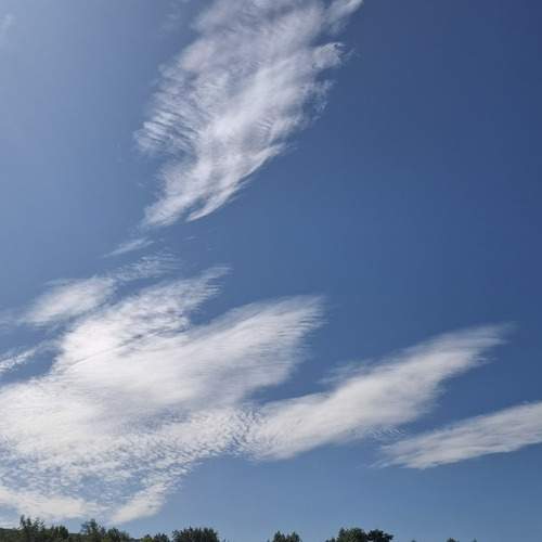 Photo #12551965