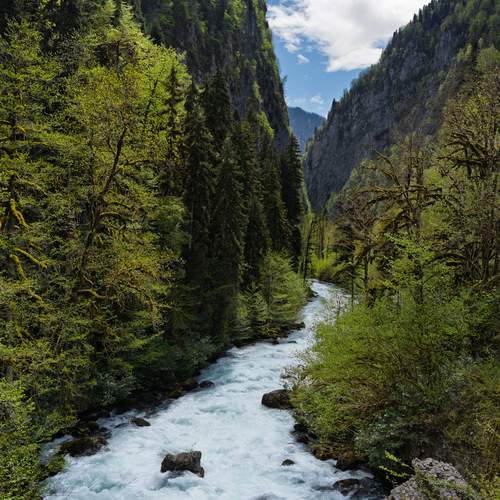 Photo #12552105