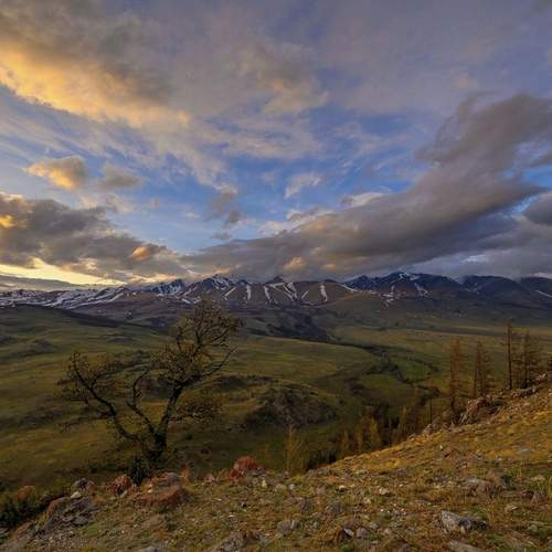 Photo #12552135