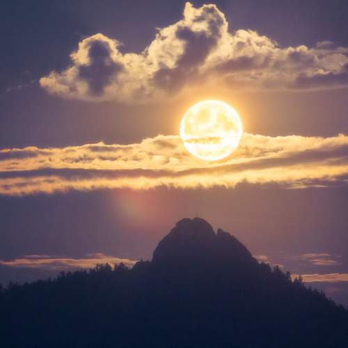Photo #12552174