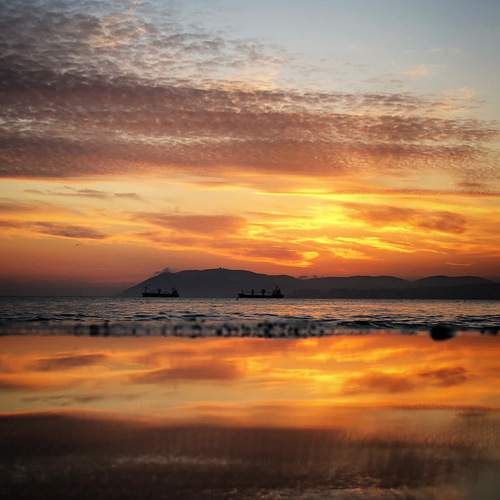 Photo #12552233