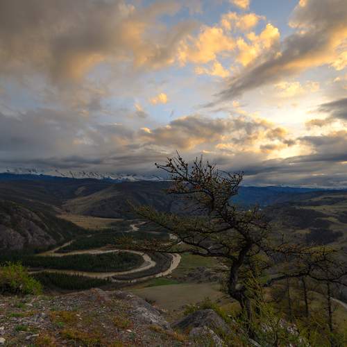 Photo #12552249