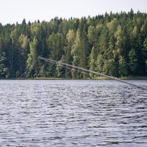 Photo #12552257