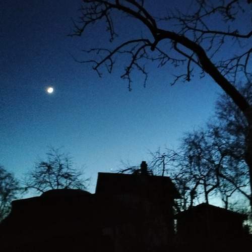 Photo #12552269