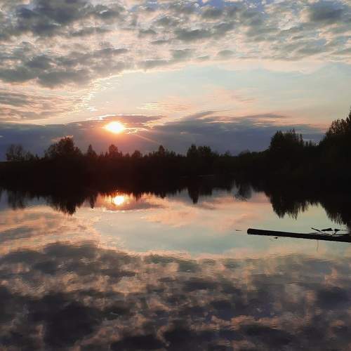 Photo #12552287