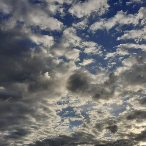Photo #12552510