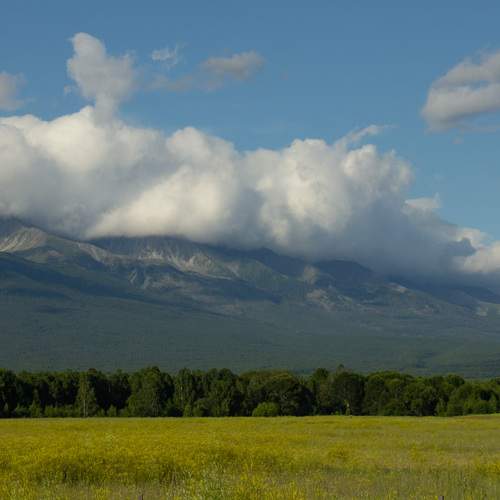 Photo #12552558