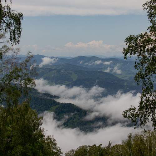 Photo #12552560