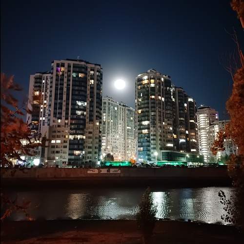 Photo #12552587