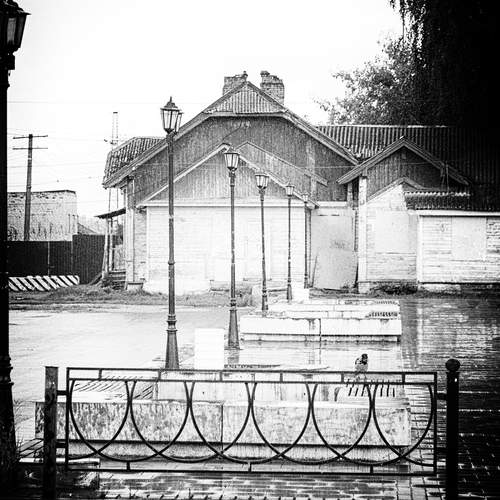 Photo #12552656