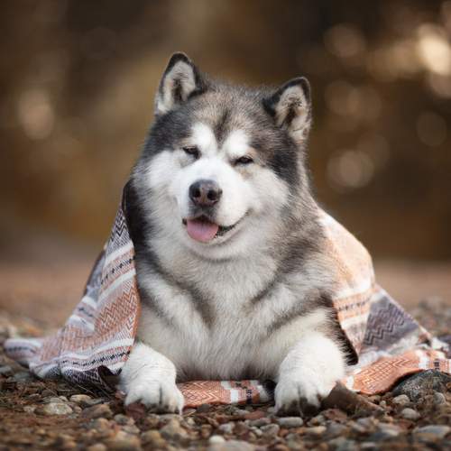 Photo #12552709