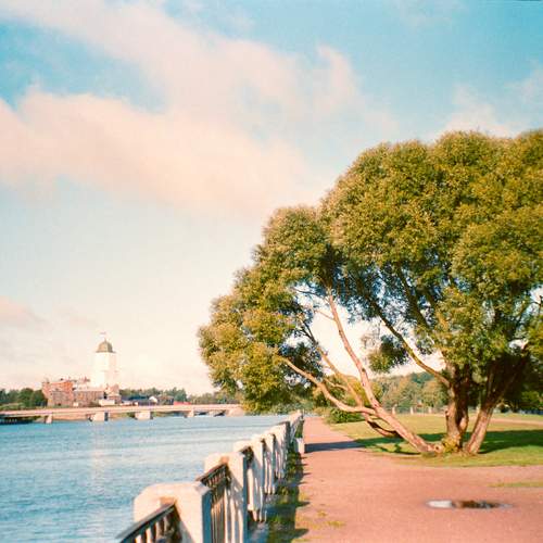 Photo #12552795