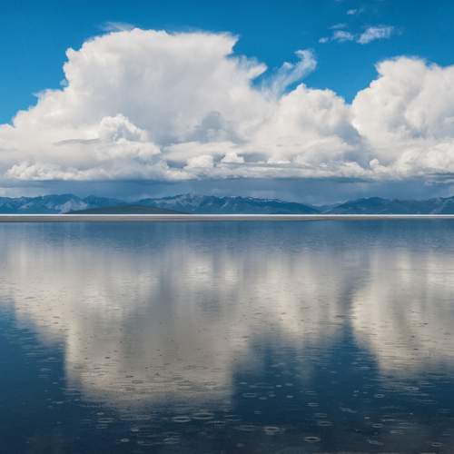 Photo #12552830