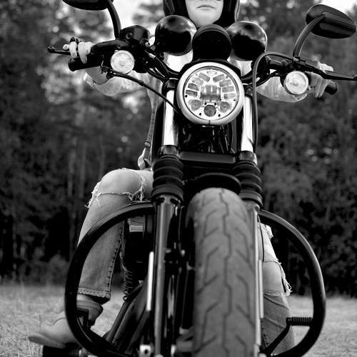 Photo #12552886