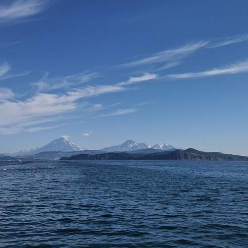 Photo #12552917
