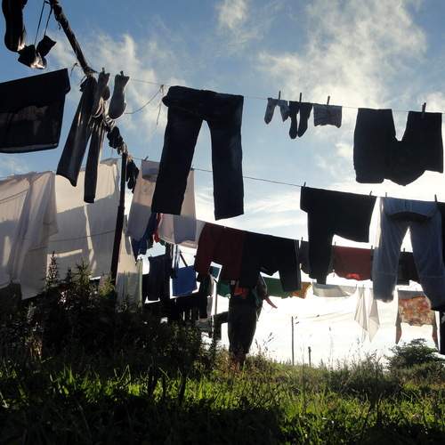 Photo #12553329
