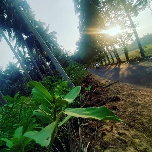 Photo #12553370