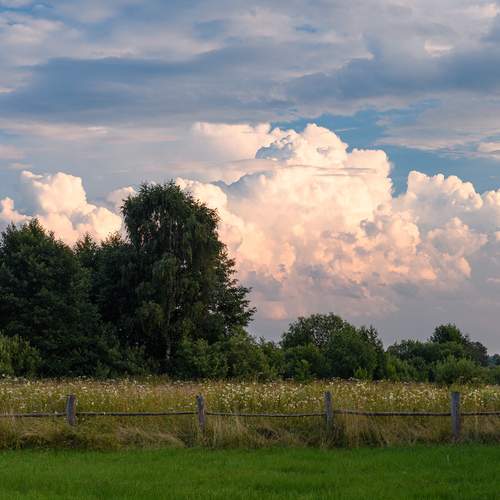Photo #12553520