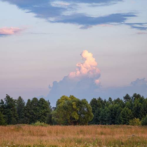 Photo #12553521