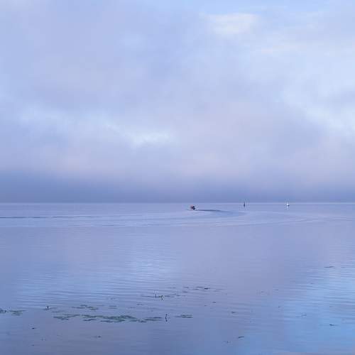 Photo #12553549