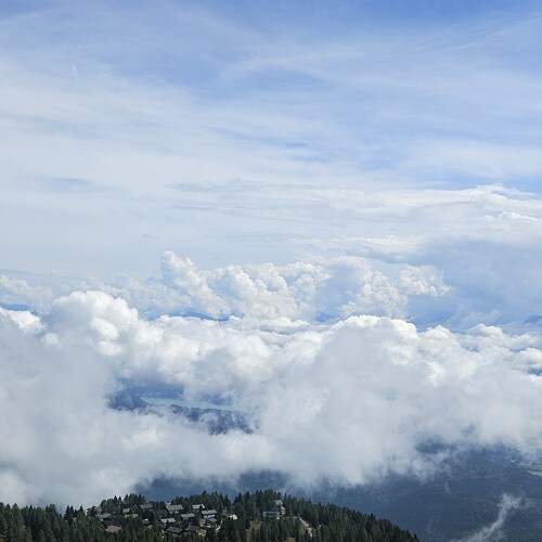 Photo #12553621