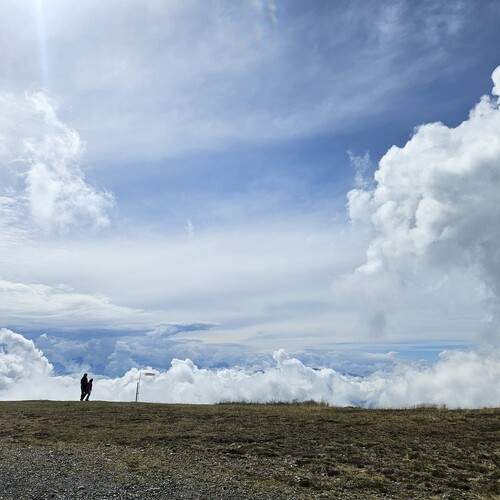 Photo #12553633