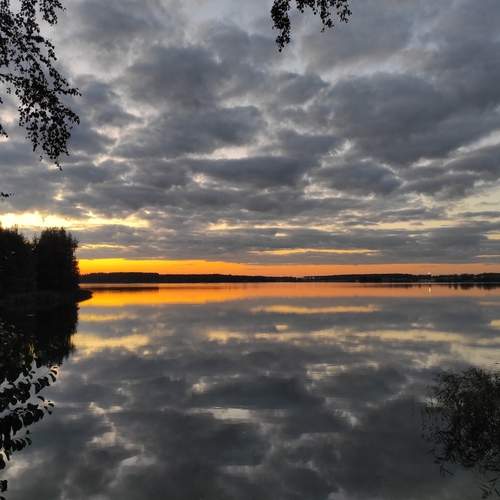 Photo #12554017
