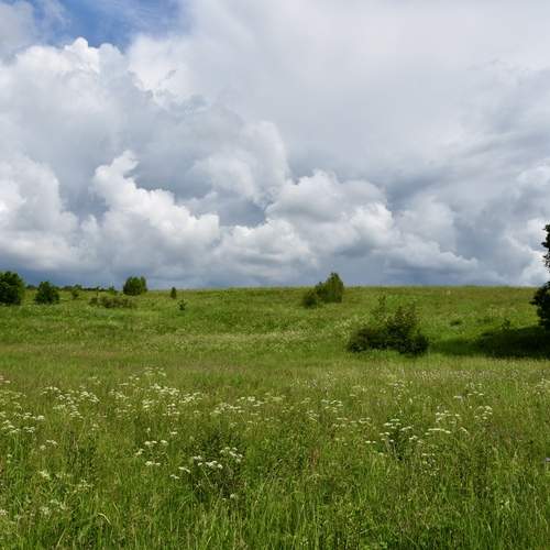 Photo #12554064